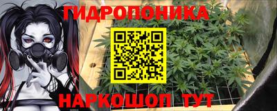 гидра Заволжье