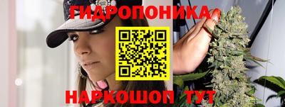 твердый Заводоуковск