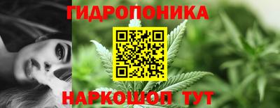 гидра Заволжье