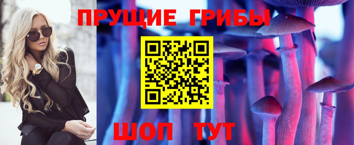 Псилоцибиновые грибы GOLDEN TEACHER  цены наркотик  Ликино-Дулёво  Вход с VPN  Галлюциногенные грибы ЛСД 